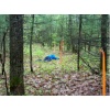 Crime Scene Preservation by SAR Dog Handlers